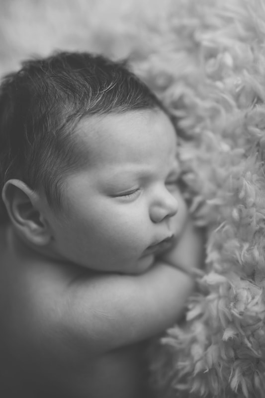 moncton newborn photographer , moncton newborn photography , newborns , backlit, family posing , newborn posing , newborn session , pei newborn photographer 