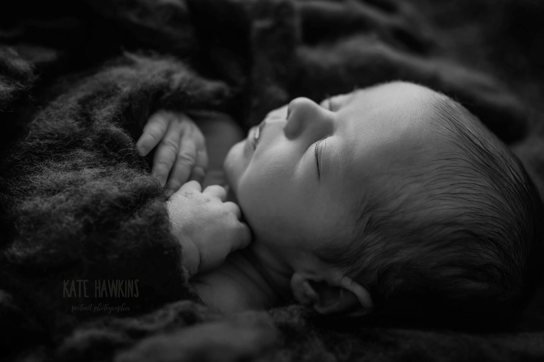 Moncton newborn photographer , moncton newborn photography, moncton photographer, newborn photography